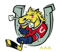 Barrie Colts Logo